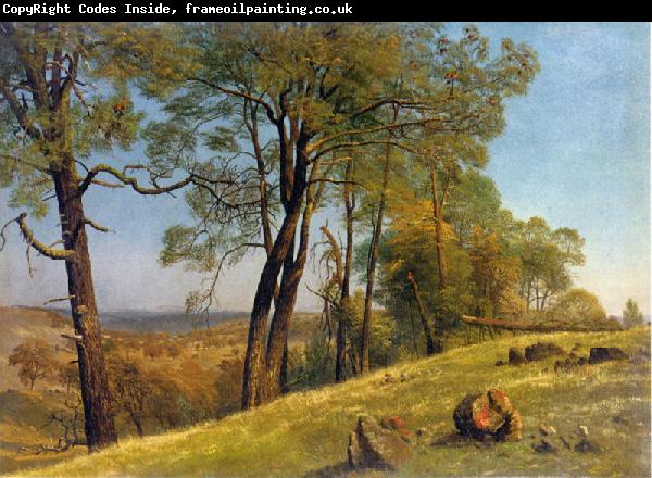 Albert Bierstadt Landscape, Rockland County, California